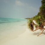 Photo by Aleksandra Dementeva